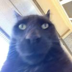 yos - @_brandon_dotson_ - Instagram