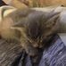 Brandon Dowell - Facebook