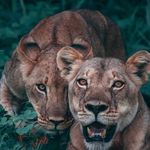 Brandon Easley - @brandoneasley47 - Instagram