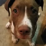 Branden Ebersole - Facebook