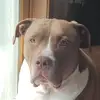 Branden Ebersole - @brandenebersole - TikTok
