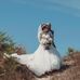 Brandon Edmondson - Facebook