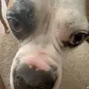 brandonerlichman3 - @brandon.erlichman - TikTok