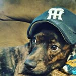 brandon ferguson - @brandon_ferguson767882 - Instagram