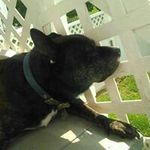 brandon fish - @brandonfish - Instagram