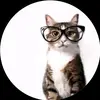 Brandon Fish - @brandon.fish0 - TikTok