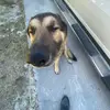 bransonforehand - @bransonforehand - TikTok