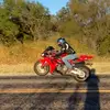 Brandon Galindo497 - @brandongalindo5168 - TikTok
