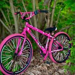 Brandon Gallagher - @brandongallagher536 - Instagram