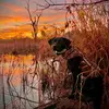 Brandon Gallagher - @its.brandon.g - TikTok