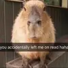 Gavin Brandon - @gavin.brandon04 - TikTok