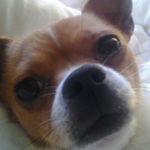 brandon gerber - @k_i_l_l_a32 - Instagram