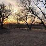 Brandon Gerber Gerber Auction - @brandongerbergerber - Instagram