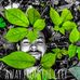 Brandon Gibson - Facebook
