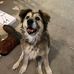 Branden Giddens - Facebook