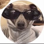 Brandongiddens - @brandongiddens8 - Instagram