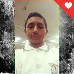 Brandon Golden Brown Pereyda - @brandonpereyda - Instagram