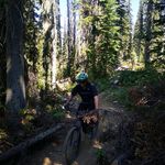 Brandon Goldsmith - @brangolds - Instagram
