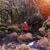 Brandon Gough - Facebook