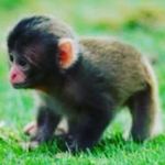 Brandon gough - @brandon.gough0608 - Instagram