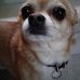 Brandon Gruver - Facebook