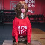 Brandon  Guzman - @brandnside - Instagram