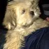 Brandon Guzman - @brandonguzman47 - TikTok