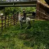 Brandon Guzman - @brandon.guzman47 - TikTok