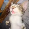 brandonguzman8 - @brandonguzman8 - TikTok
