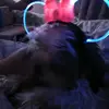 Brandon Hague - @brandonhague4 - TikTok
