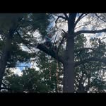 Brandon Hammond - @fly_narco_12 - Instagram