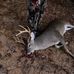 Brandon Hammonds - Facebook