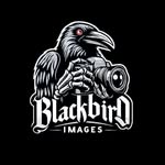 Brandon Scott Hanks - @blackbirdimagesofficial - Instagram