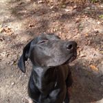 826079 - @brandonharrop372023 - Instagram