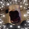 Brandon Harrop - @brandonharrop - TikTok