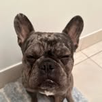 B - @brandon__harry - Instagram