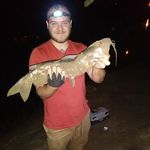 Brandon Hatfield - @brandonhatfield76 - Instagram