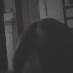 brandon lee hellman - @brandon81815 - Instagram