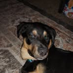 Brandon Helsel - Facebook