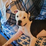 Brandon Hendrickson - @brandon_hendrickson.jr - Instagram