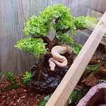 Brandon Lee Herald - @meat_wagon_bandit - Instagram