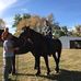 Brandon Holden - Facebook