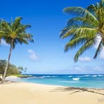 Brandon Holiday - @holidaybrandon - Instagram