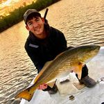 Brandon Holton - @brandonholton - Instagram