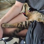 Brandon Houle - @b.houle98 - Instagram