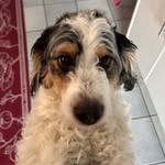 brandon - @brandonhuang - Instagram