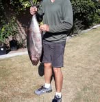 Brandon Hua - Facebook