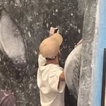 Brandon Huang - @brandonhuang36 - Instagram