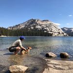 Brandon Hui - @brandon.hui - Instagram