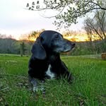 Brandon Hulbert - @hulbertbrandon - Instagram
